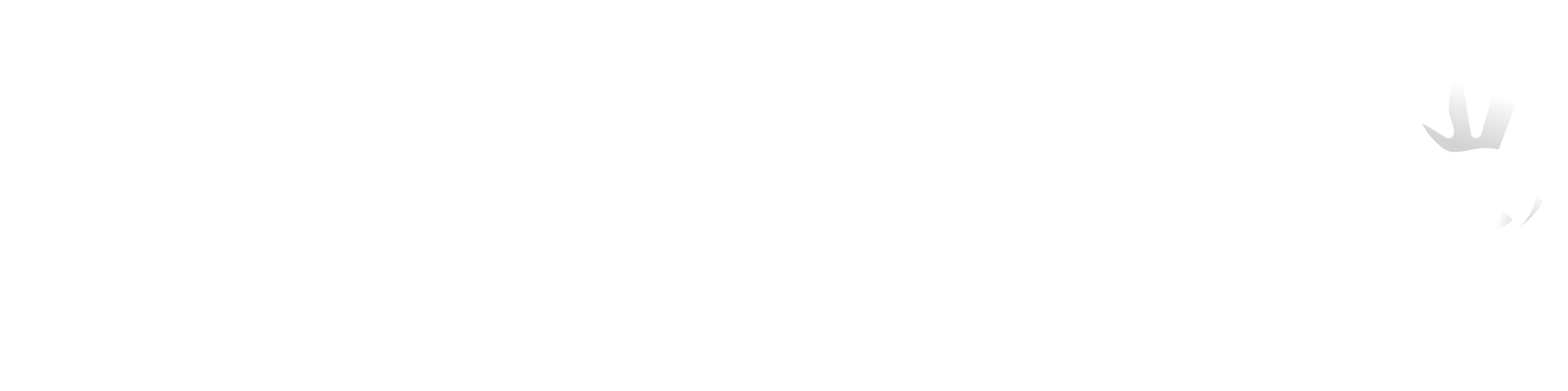 Steve Pétrel - Studio graphique
